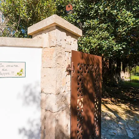 Villa Casina Dei Capperi By Vivimy Torre Pali